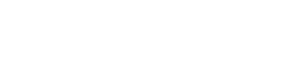 Hernández Marym, Agencia Aduanal